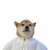 Doge Pope logo