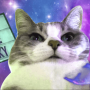 CHONKY
