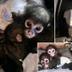 texas spider monkeys on fb logo