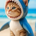 The Shark Cat logo