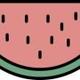 Watermelon  logo