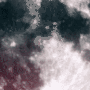 MOONPORK