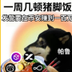 帕鲁 logo