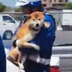First Arrested Shiba Inu logo