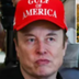 Naked Elon logo
