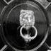 A Super Secret Service logo