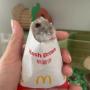 hashbrown