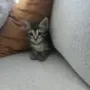 BILBO