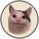 Beluga Cat logo