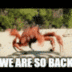 WE ARE SO BACK logo