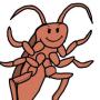 roach