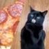 Pizza Cat logo