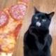 Pizza Cat logo