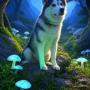 Lumi