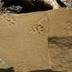NEW ANCIENT CAT DISCOVERED logo