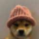 dogwifhat logo