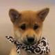 dogwifscarf logo