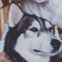 KAZE
