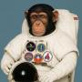 moonchimp