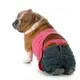 DOG WIF PANTS logo