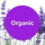 Organic