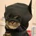 CATMAN logo