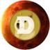 DOGEtoMARS logo