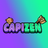 CAPI