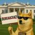 dogecracy logo