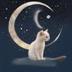 Cat in the moon logo