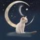 Cat in the moon logo