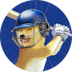 Indian Premier League Fan Token logo