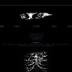 cybernetic dreams logo