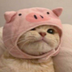 Pig Cat logo