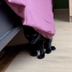 Sheet Ninja logo