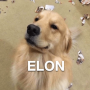 ELON