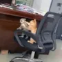 DRAMA