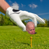 6 HANDICAP logo