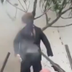 TRUMP DUMMY SHOT ON TREE logo
