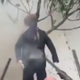 TRUMP DUMMY SHOT ON TREE logo