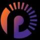 PVS logo