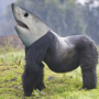 Gork