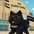 Shadow’s Dubai logo