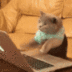 Clicking Cat logo