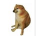 Gen Z logo