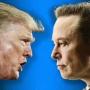 MuskTrump