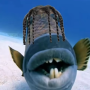 TRAFISH