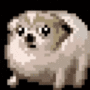 sdog
