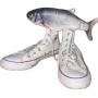 shoefish