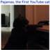 The First Youtube Cat logo